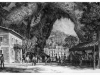City_park_1474904946