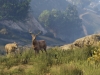 RSG_GTAV_NG_Screenshot_033 RSG_GTAV_NG_Screenshot_033