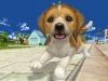 PETZ_Screen_2