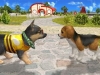 PETZ_Screen_3