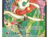 XY4_DE_116