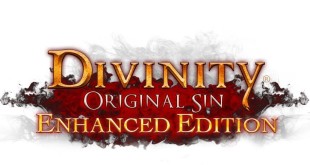 gamelover Divinity Original Sin