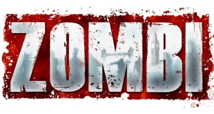 gamelover ZOMBI