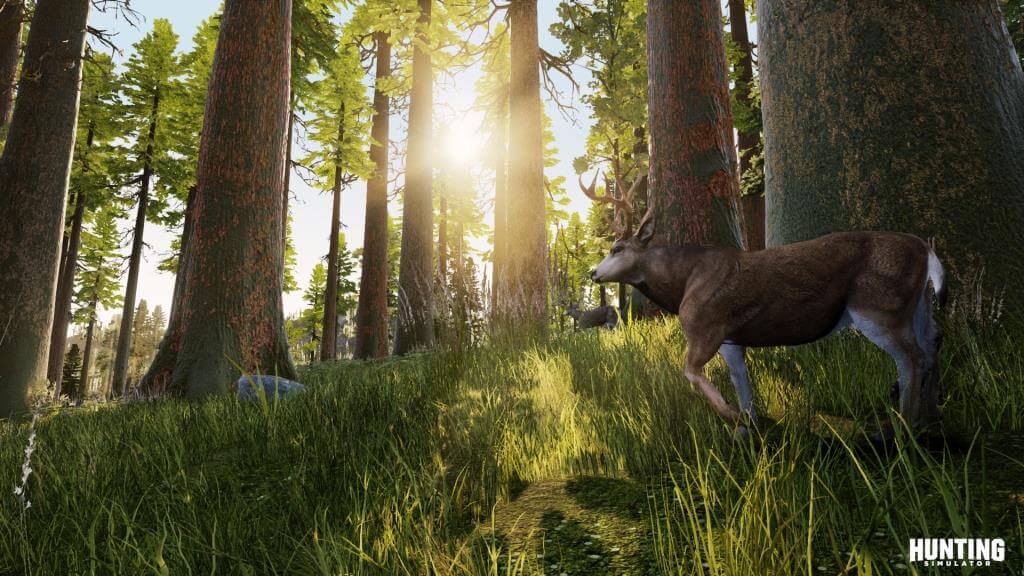 gamelover Hunting Simulator