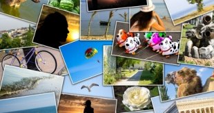 gamelover Collage